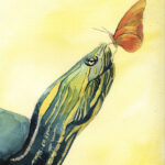 Best Friends: The Turtle and the Butterfly