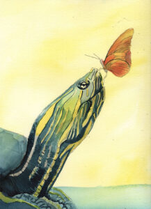 Best Friends: The Turtle and the Butterfly